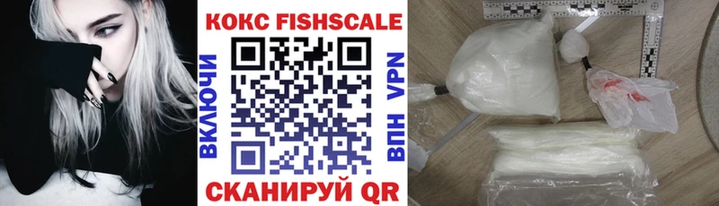 COCAIN Fish Scale  Купить закладки  Углич 