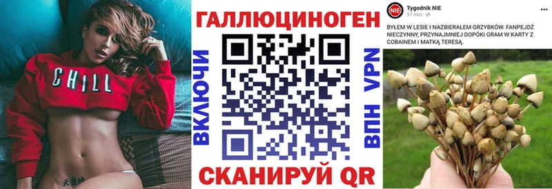 Псилоцибиновые грибы прущие грибы  Купить где  Углич 